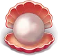 Shell with a Pearl